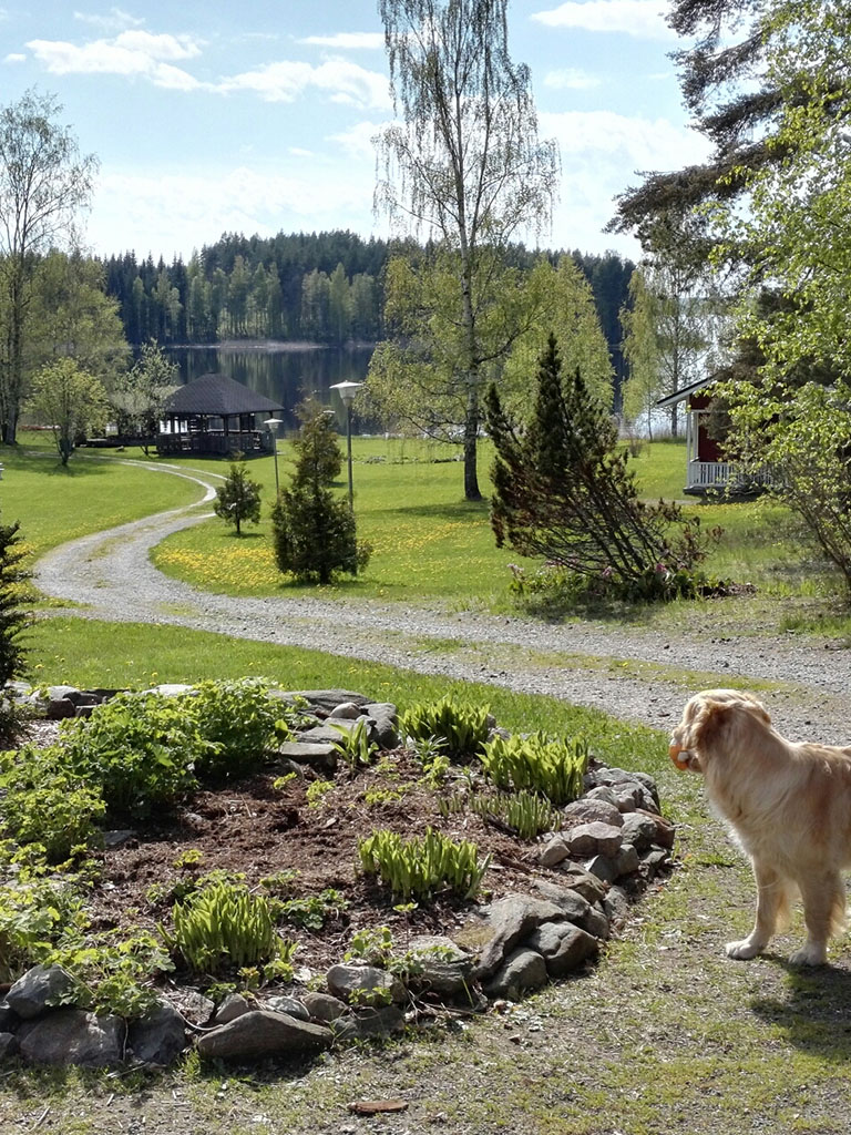 Lakeside Caravan Camping in Rääkkylä, Nordkarelien – sonnige Stellplätze mit Seeblick am Saimaa-See. 28 Plätze mit Strom, Servicegebäude und Natur pur.